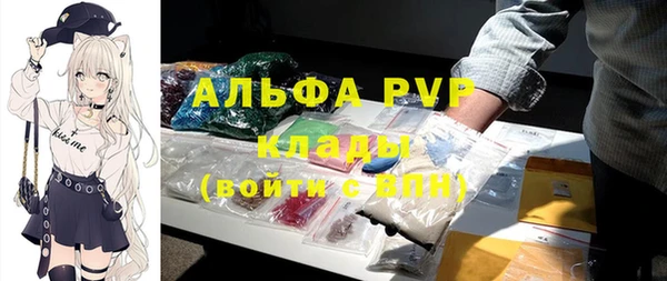 ГАЛЛЮЦИНОГЕННЫЕ ГРИБЫ Абаза