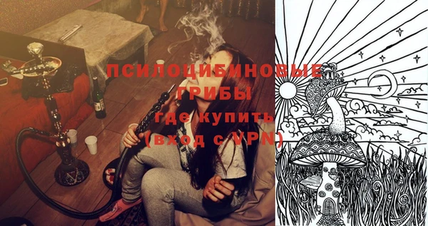 индика Алексеевка