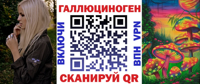 даркнет телеграм Шимановск Псилоцибиновые грибы Psilocybe